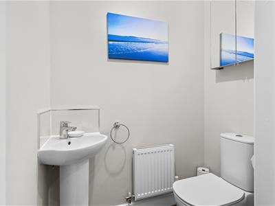 Picture 12